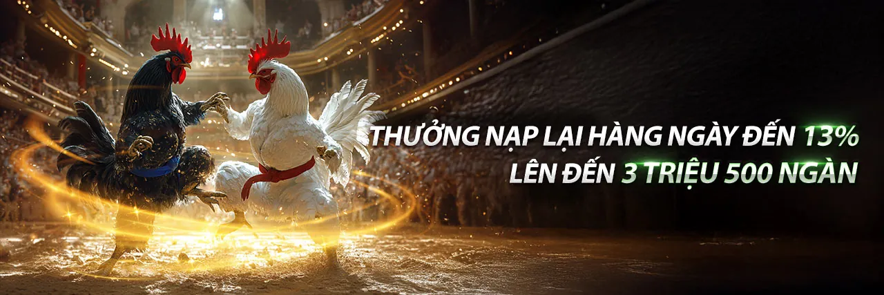 Các chương trình ưu đãi độc quyền tại 333win casino